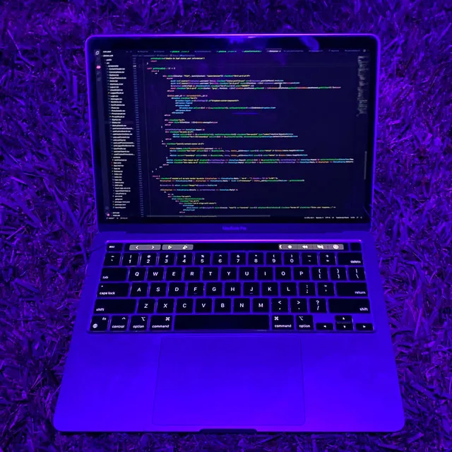 night life cover