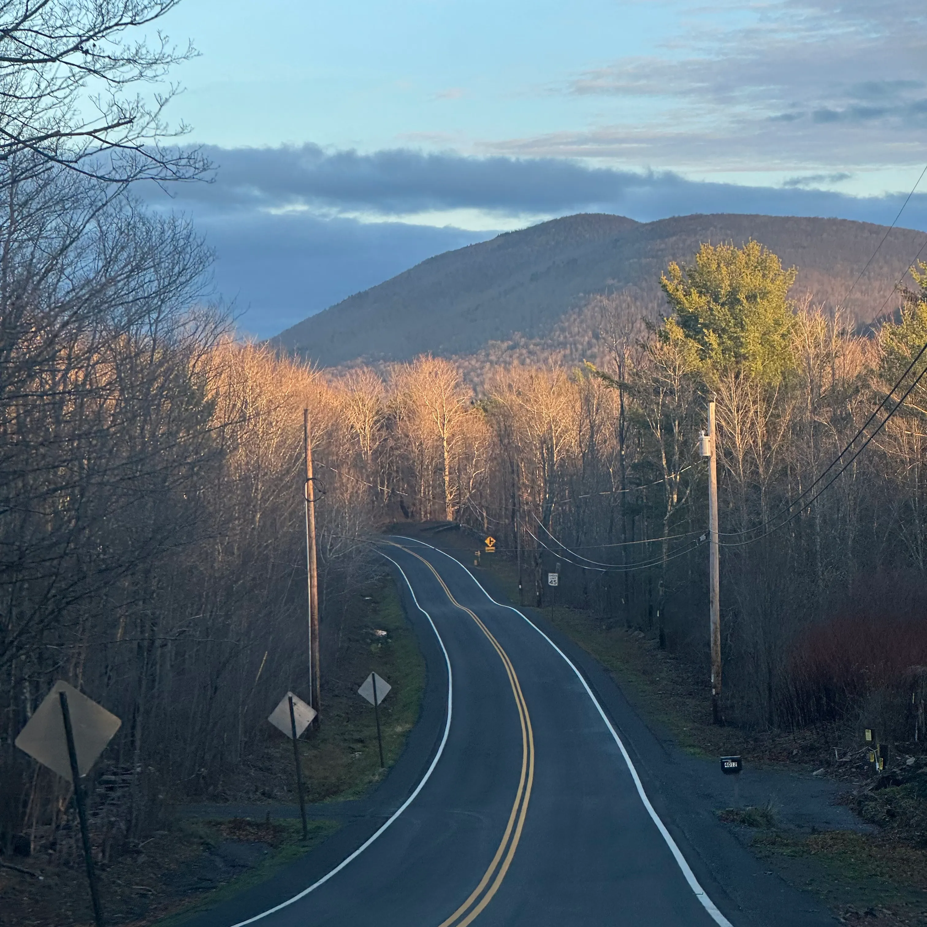 Downhill nature shot