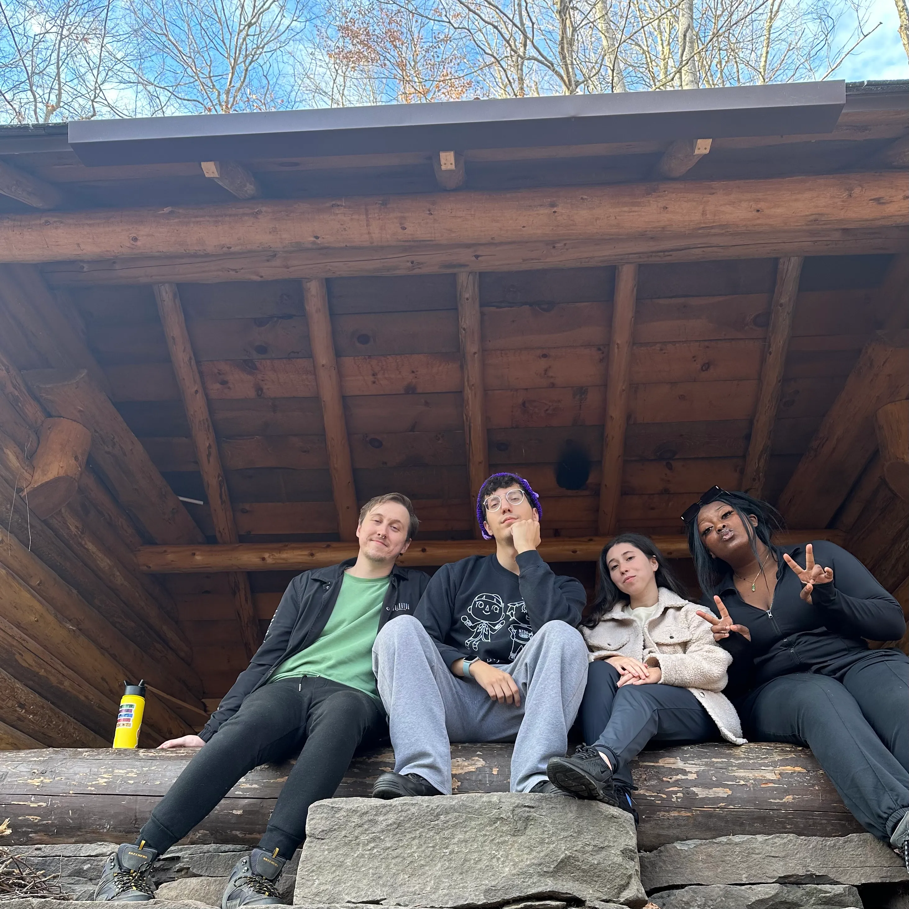 Friends in the Forest