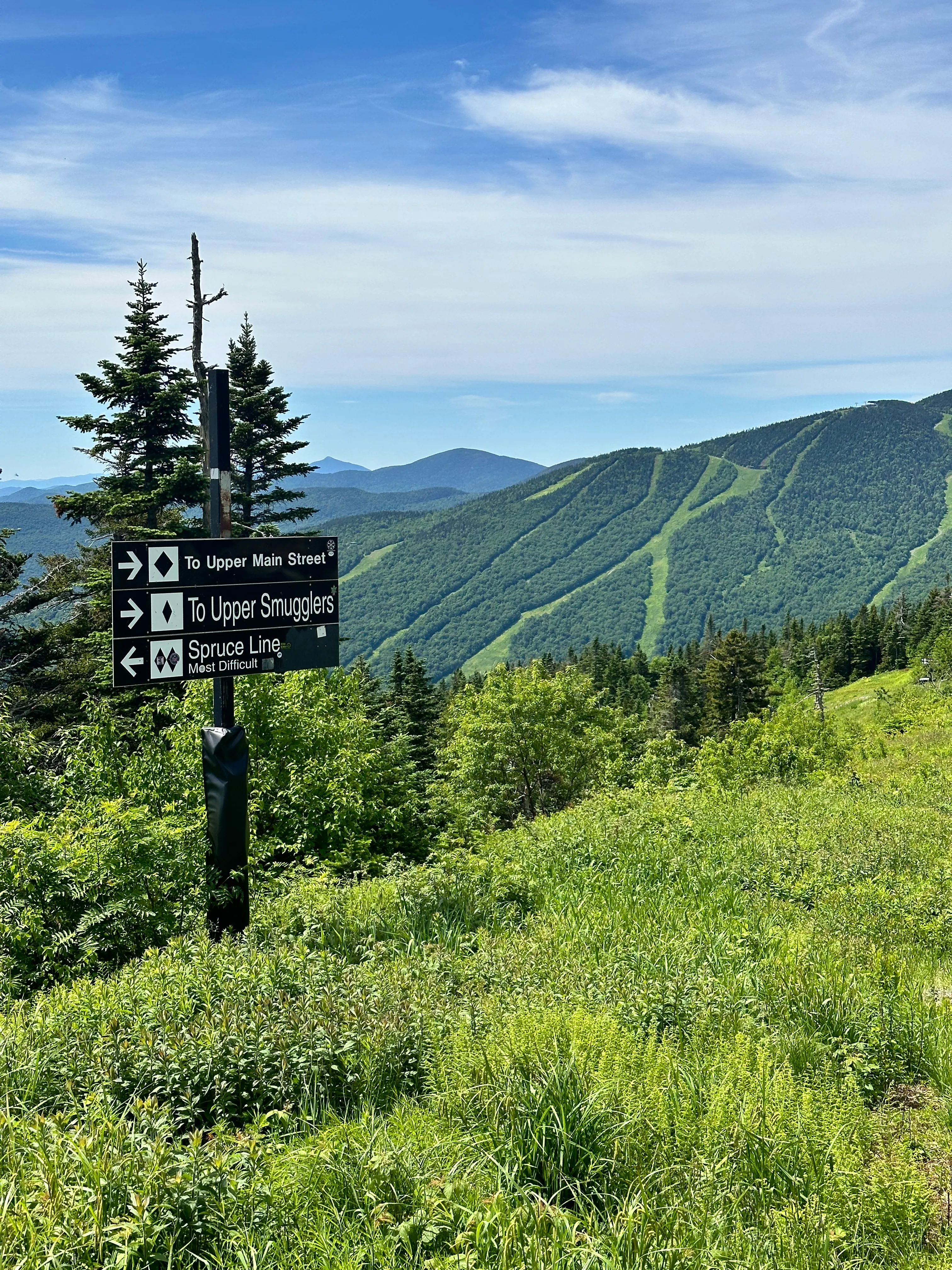 Looking at the ski slopes in the summertime